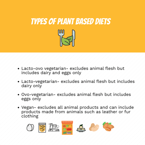 Types of plant based diets